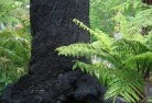 Boxwoodsustainable-landscaping-15.jpg; ?>